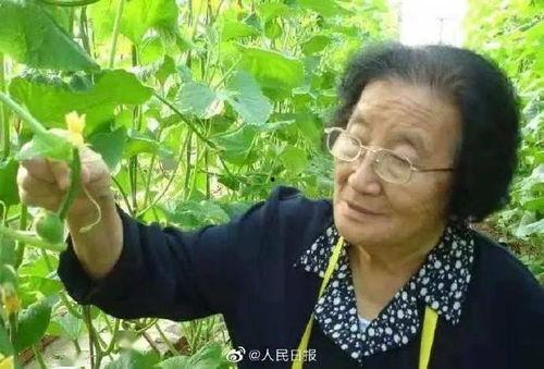博主热门吃瓜事件二人聊天,博主与当事人深度对话揭秘幕后真相