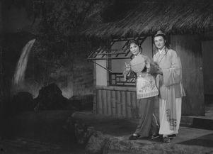牛郎织女电影,跨越银河的浪漫传奇
