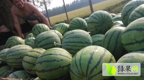 近日热门瓜,揭秘明星背后的惊人真相！
