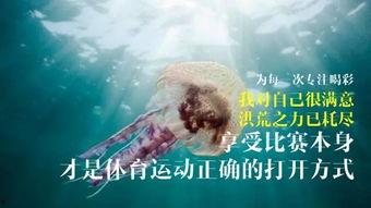 偷瓜的热门文案怎么写,一场欢乐的乡村冒险