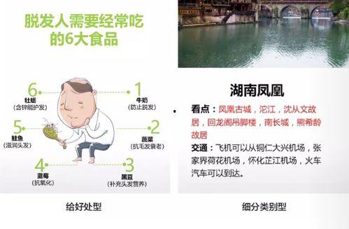 偷瓜的热门文案怎么写,一场欢乐的乡村冒险