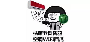 吃瓜热门大,揭秘热门事件背后的真相与争议