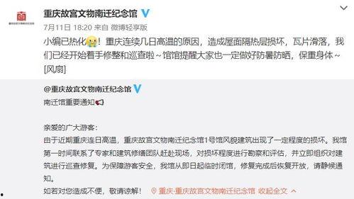 视频号热门话题标签,揭秘视频号标签下的热门现象