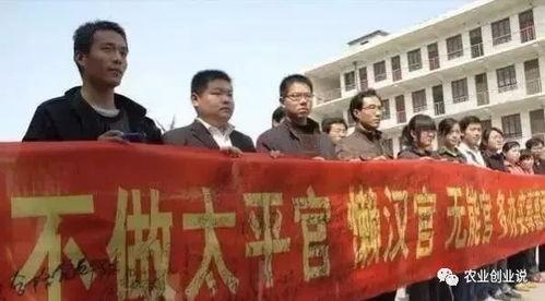 最近三农热门话题,聚焦三农热点，共话农业现代化发展”