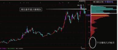 吃瓜的老黑哥股票实盘,揭秘投资背后的故事