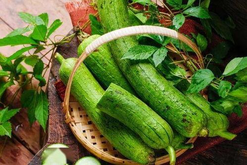 抖音热门葫芦瓜,创意葫芦瓜，解锁夏日美食新风尚
