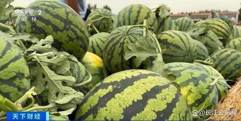2023热门吃瓜视频,笑料百出，揭秘娱乐圈幕后真相