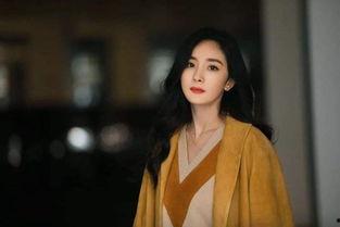 明星网红抱团是谁,揭秘娱乐圈新势力联盟