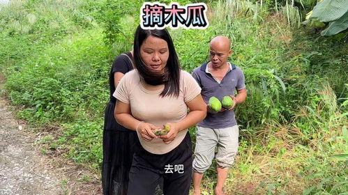 农村摘瓜热门视频,农村摘瓜视频走红网络，欢乐瞬间尽收眼底