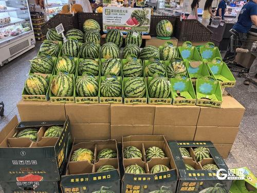 热门瓜都有哪些品种图片,图解各式瓜果风采