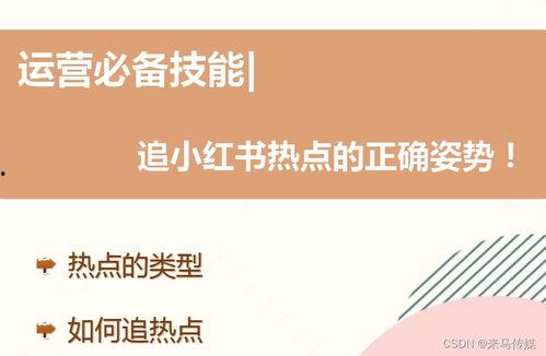 小红书热门话题查询,潮流风向标下的生活美学探索