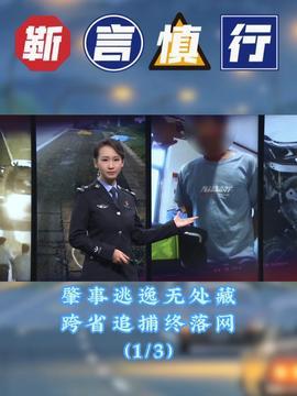 王瓜店今日事件新闻视频,突发冲突引关注