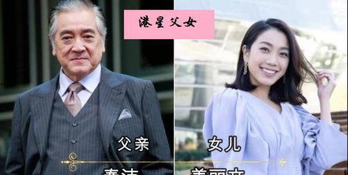 明星网红政商大佬小说,明星、网红、政商大佬的跨界传奇