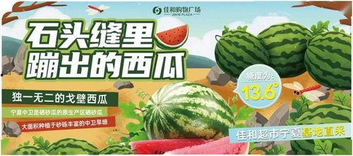 热门吃瓜音乐,盘点年度热门“瓜音”盛宴
