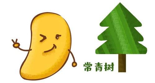 热门吃瓜音乐,盘点年度热门“瓜音”盛宴