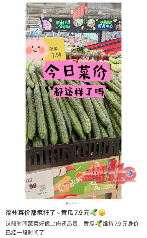 永城今日瓜价最新消息,瓜价走势及市场分析