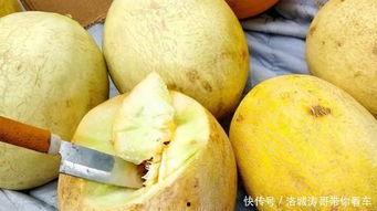 今日兰州白兰瓜价格行情,价格波动解析