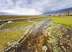 新疆伊犁旅游热门话题,丝路明珠的四季风情之旅