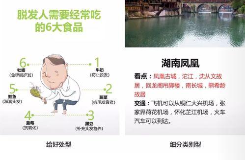 偷瓜的热门文案怎么写啊,一场欢乐的乡村冒险