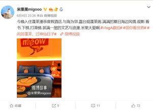 明星网红达人定义,跨界融合的璀璨星河