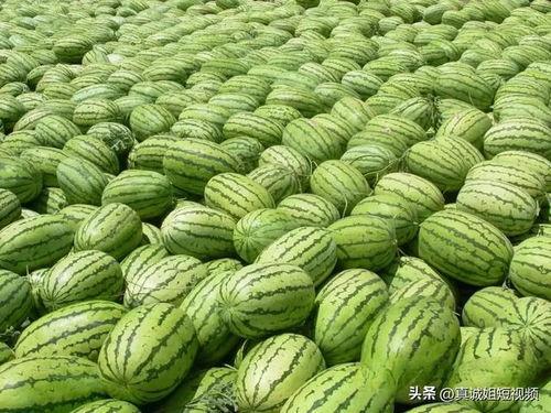 海外吃瓜热门大瓜,揭秘海外娱乐圈最新惊天大瓜！