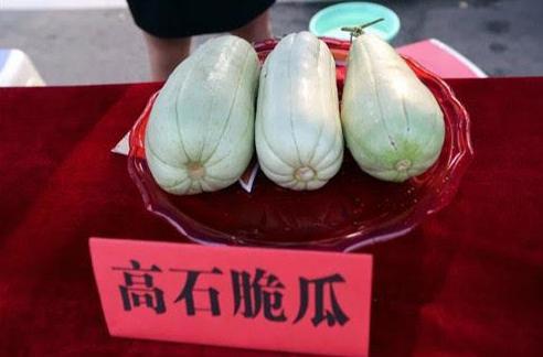 高石高次脆瓜今日价格,市场行情解读”