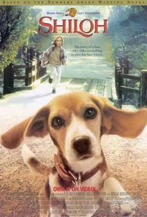 猎犬电影,追踪真相的猎犬传奇