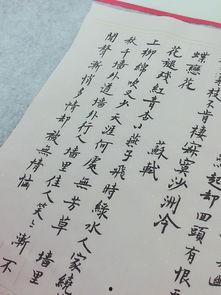 热门话题双休日,热门话题下的双休日生活指南