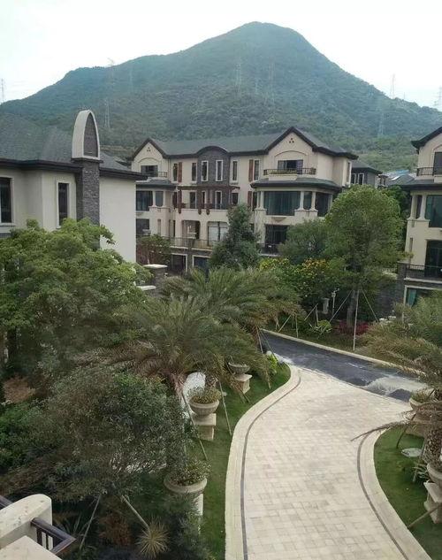 梁山最近热门吃瓜的地方,揭秘最新热门话题聚集地