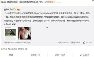 2014年热门话题,回顾那些引发热议的瞬间
