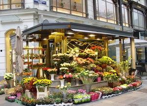 热门大瓜51唐山花店,揭秘花店背后的热门大瓜