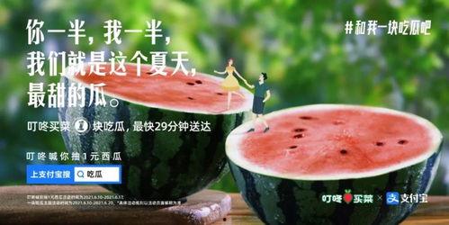 喝瓜热门文案,揭秘夏日清凉新潮流