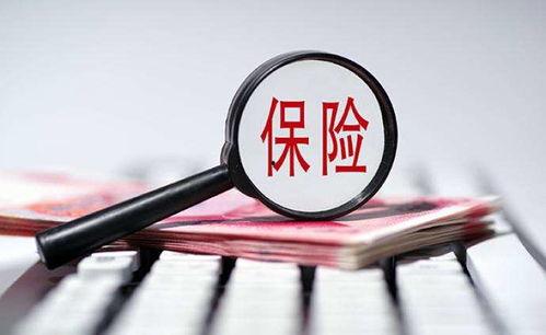 保险热门话题,创新、风险与未来趋势