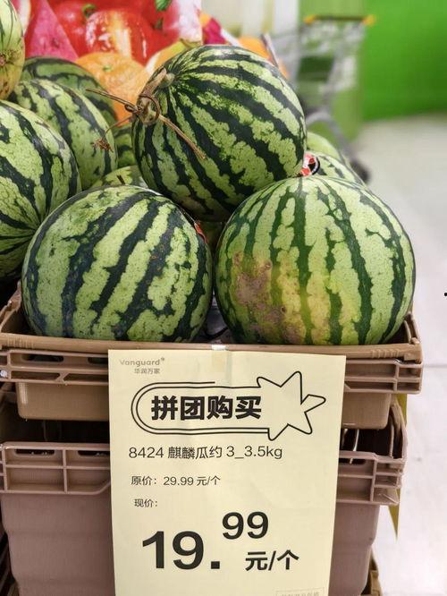 今日头条麒麟瓜批发价,市场动态一览”