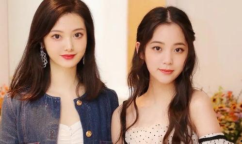 小说明星网红对比,两界风采大对比