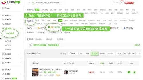 如何上飞瓜扒热门视频,轻松掌握热门视频制作技巧