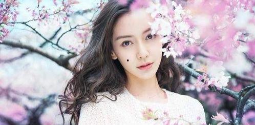 哪里的明星网红最多,中国明星网红聚集地揭秘”