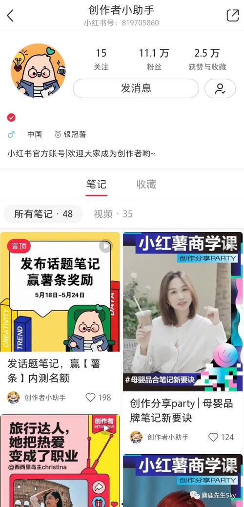 怎么看小红书热门话题,洞察潮流风向标