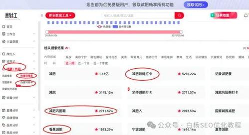 怎么看小红书热门话题,洞察潮流风向标