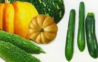 哪里吃热门瓜最多呢,揭秘哪里吃热门瓜最多