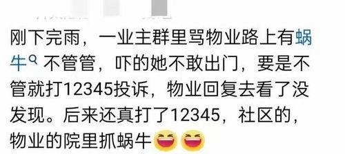 网络爆料吃瓜热门吃瓜 绿帽,揭秘网络热门吃瓜事件背后的真相