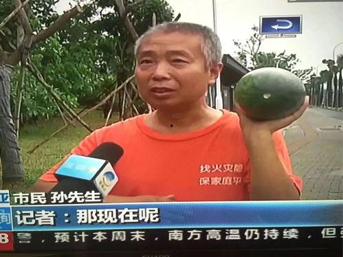 吃瓜各种热门事件图文,盘点近期热门事件图文集锦