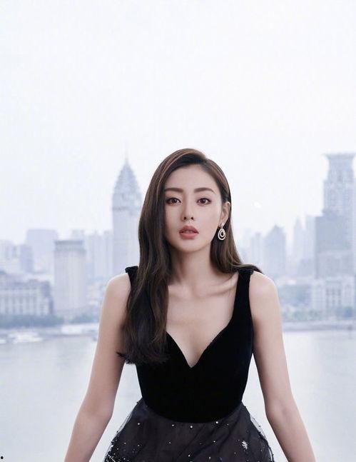 明星网红背后的付出,揭秘明星网红的辛勤付出与不懈努力