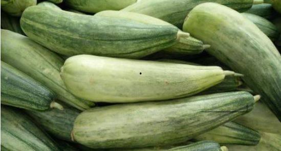 今日蜜瓜卖价多少一斤,XX元/斤，尽享夏日甜蜜时光