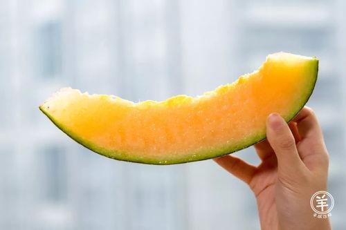 今日蜜瓜卖价多少一斤,XX元/斤，尽享夏日甜蜜时光