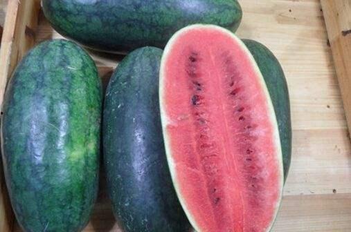 黑瓜吃料官网,揭秘美食背后的秘密与美味之旅