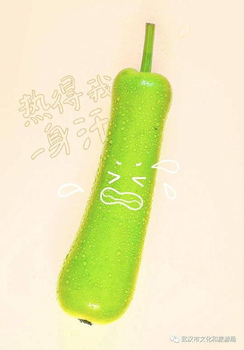 武汉热门瓜,盘点近期热门瓜，揭秘城市生活百态