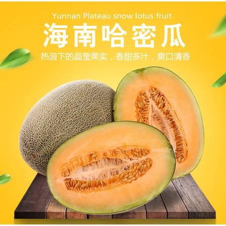 今日水果哈密瓜价格表,今日市场行情一览