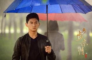 吴奇隆电影,银幕传奇，从偶像到实力派演员的蜕变之路