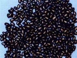 吃瓜后排便的籽是黑的